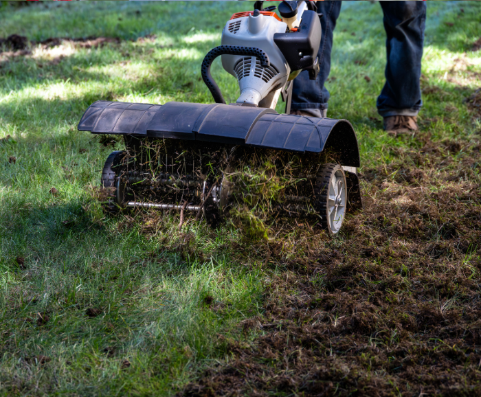 lawn dethatching